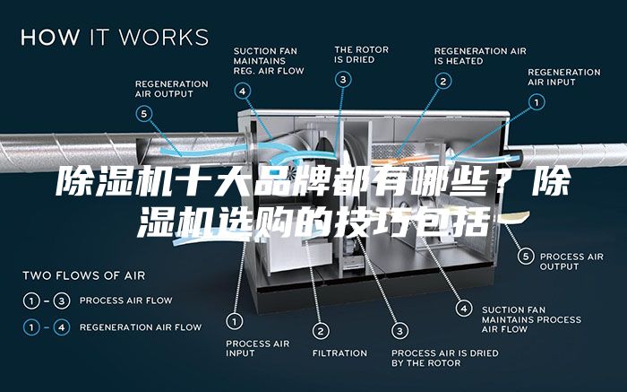 除湿机十大品牌都有哪些？除湿机选购的技巧包括