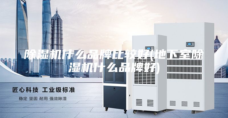 除湿机什么品牌比较好(地下室除湿机什么品牌好)