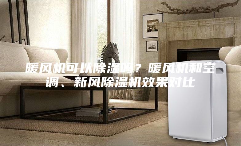 暖风机可以除湿吗？暖风机和空调、新风除湿机效果对比