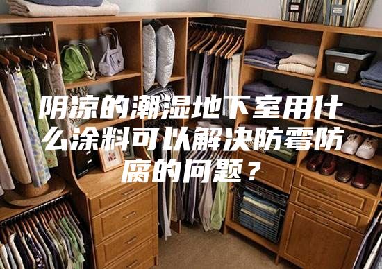 阴凉的潮湿地下室用什么涂料可以解决防霉防腐的问题？