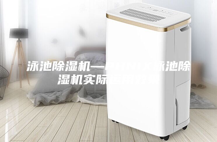 泳池除湿机—PHNIX泳池除湿机实际运用效果