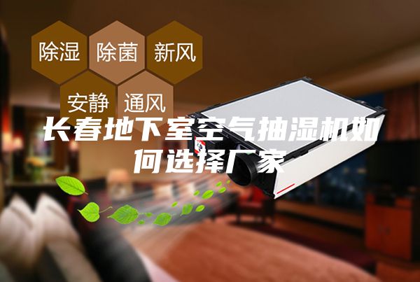 长春地下室空气抽湿机如何选择厂家