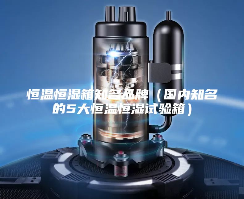 恒温恒湿箱知名品牌（国内知名的5大恒温恒湿试验箱）
