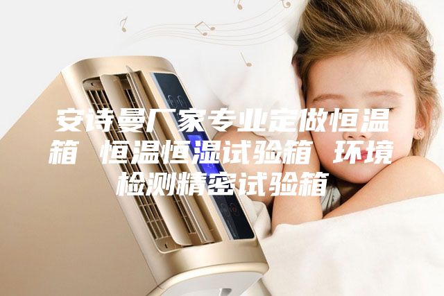 安诗曼厂家专业定做恒温箱 恒温恒湿试验箱 环境检测精密试验箱