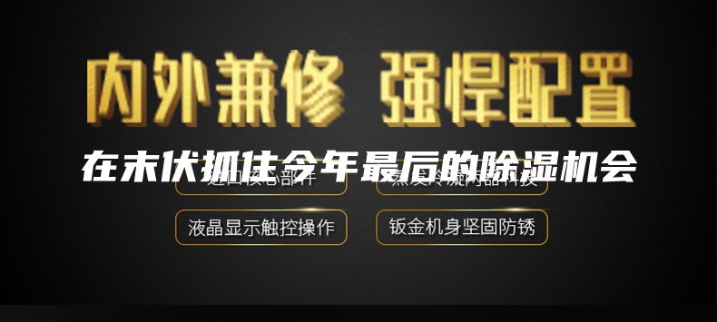 在末伏抓住今年最后的除湿机会