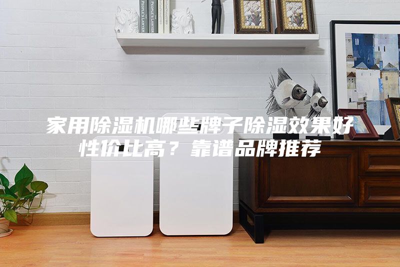 家用除湿机哪些牌子除湿效果好性价比高？靠谱品牌推荐