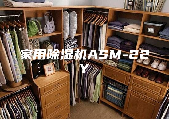 家用除湿机ASM-22Y