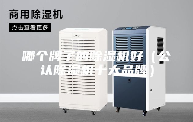 哪个牌子的除湿机好（公认除湿机十大品牌）