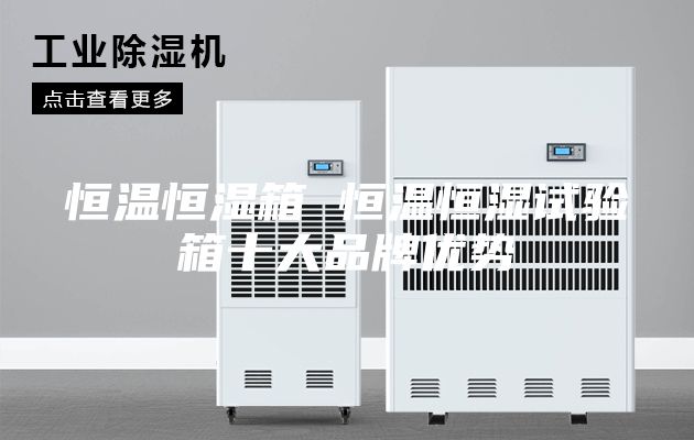 恒温恒湿箱 恒温恒湿试验箱十大品牌优势
