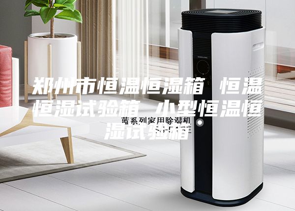 郑州市恒温恒湿箱 恒温恒湿试验箱 小型恒温恒湿试验箱
