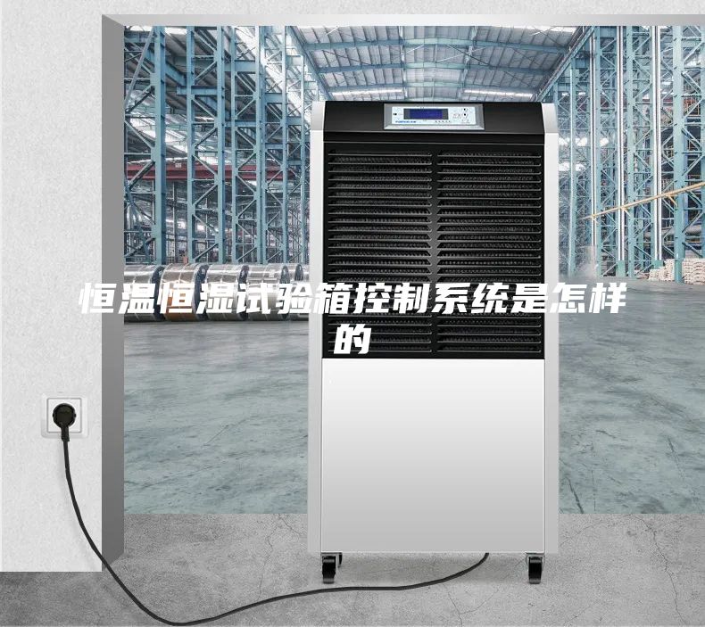 恒温恒湿试验箱控制系统是怎样的