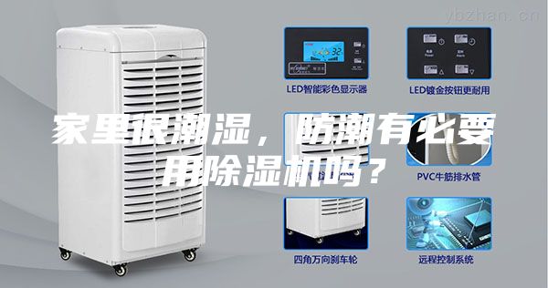 家里很潮湿，防潮有必要用除湿机吗？