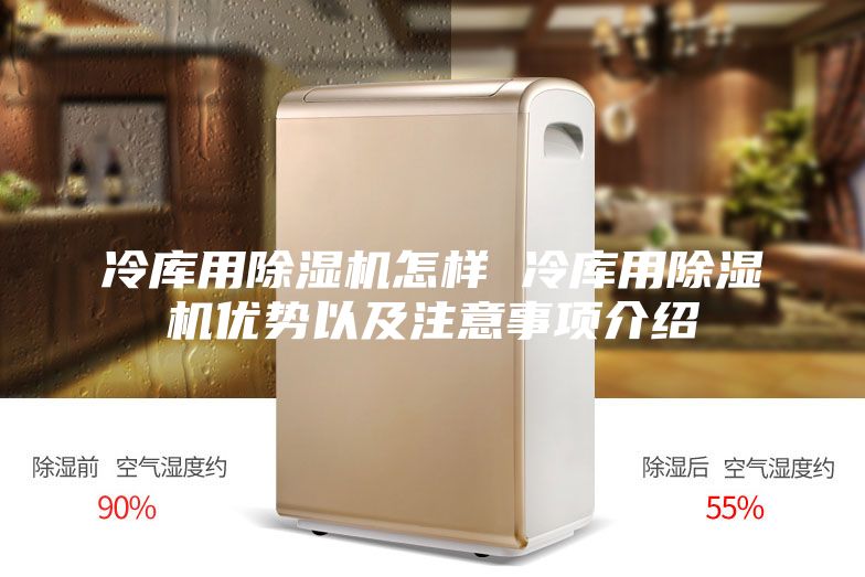 冷库用除湿机怎样 冷库用除湿机优势以及注意事项介绍