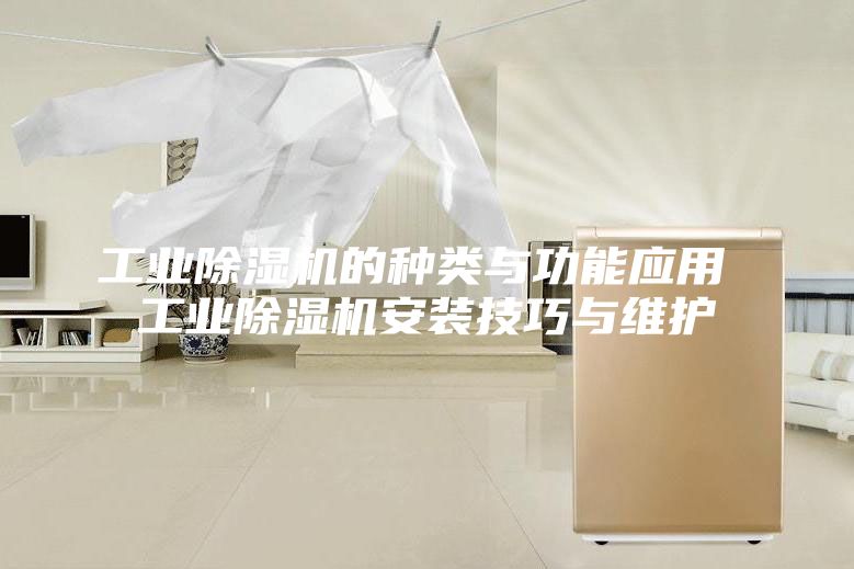 工业除湿机的种类与功能应用 工业除湿机安装技巧与维护