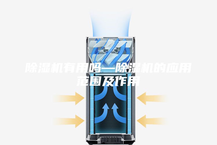 除湿机有用吗—除湿机的应用范围及作用