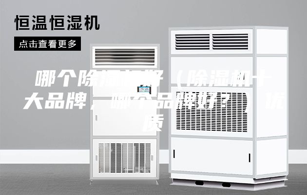 哪个除湿机好（除湿机十大品牌，哪个品牌好？）优质