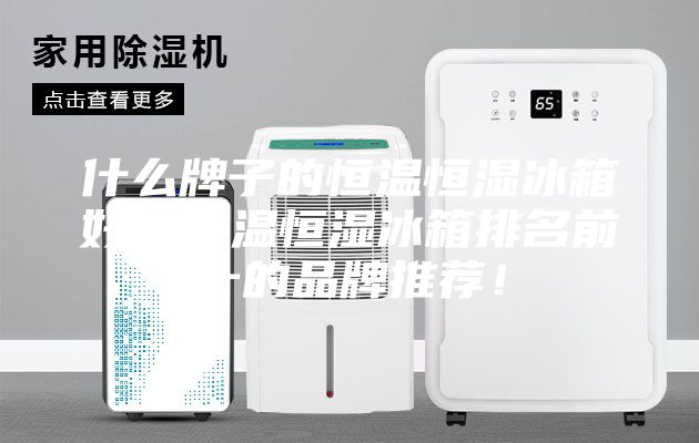 什么牌子的恒温恒湿冰箱好，恒温恒湿冰箱排名前十的品牌推荐！