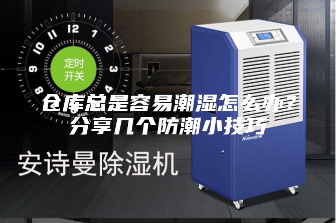 仓库总是容易潮湿怎么办？分享几个防潮小技巧