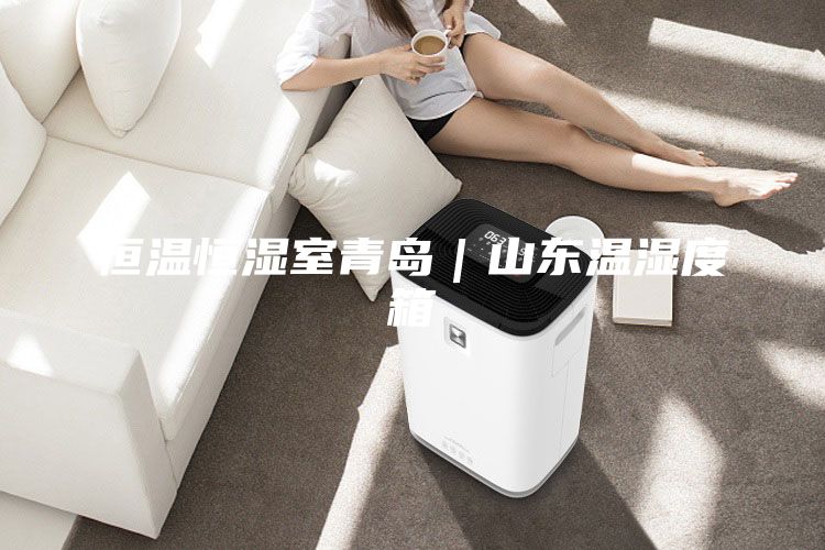 恒温恒湿室青岛｜山东温湿度箱