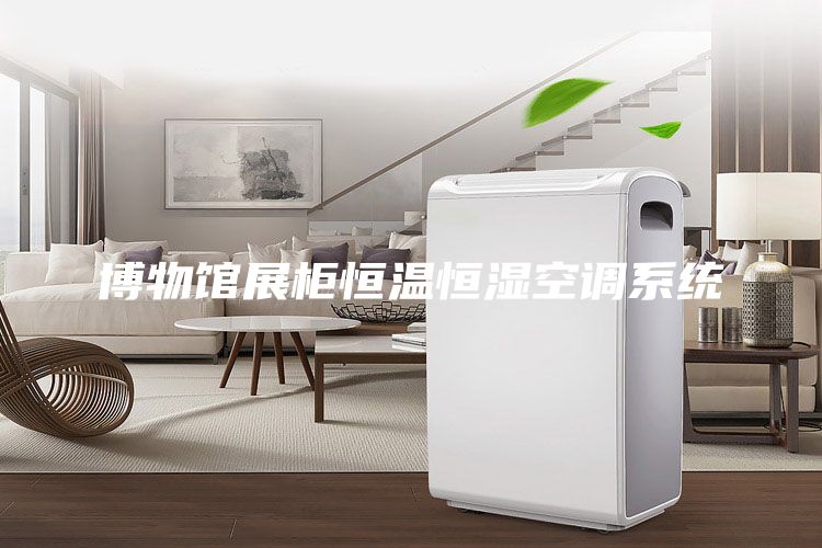 博物馆展柜恒温恒湿空调系统