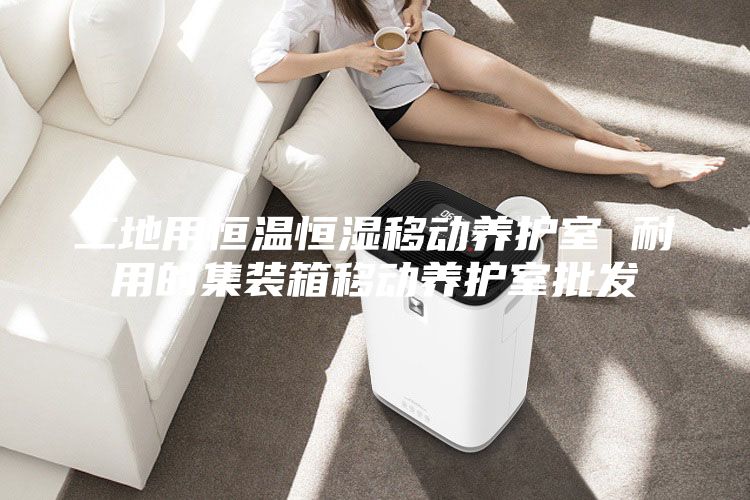 工地用恒温恒湿移动养护室 耐用的集装箱移动养护室批发