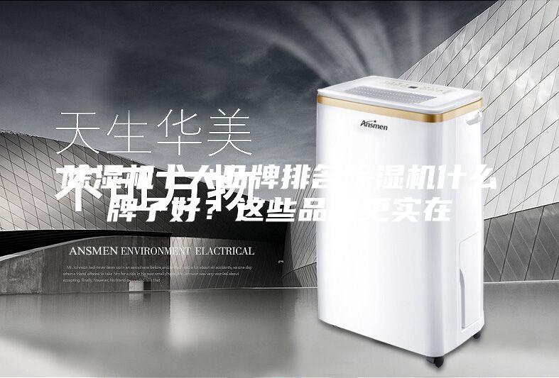 除湿机十大品牌排名除湿机什么牌子好？这些品牌更实在