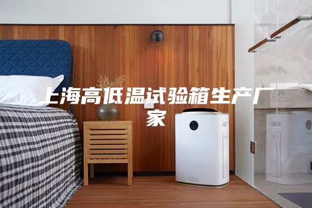 上海高低温试验箱生产厂家