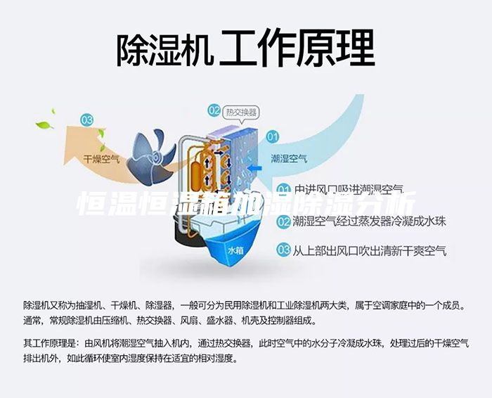 恒温恒湿箱加湿除湿分析