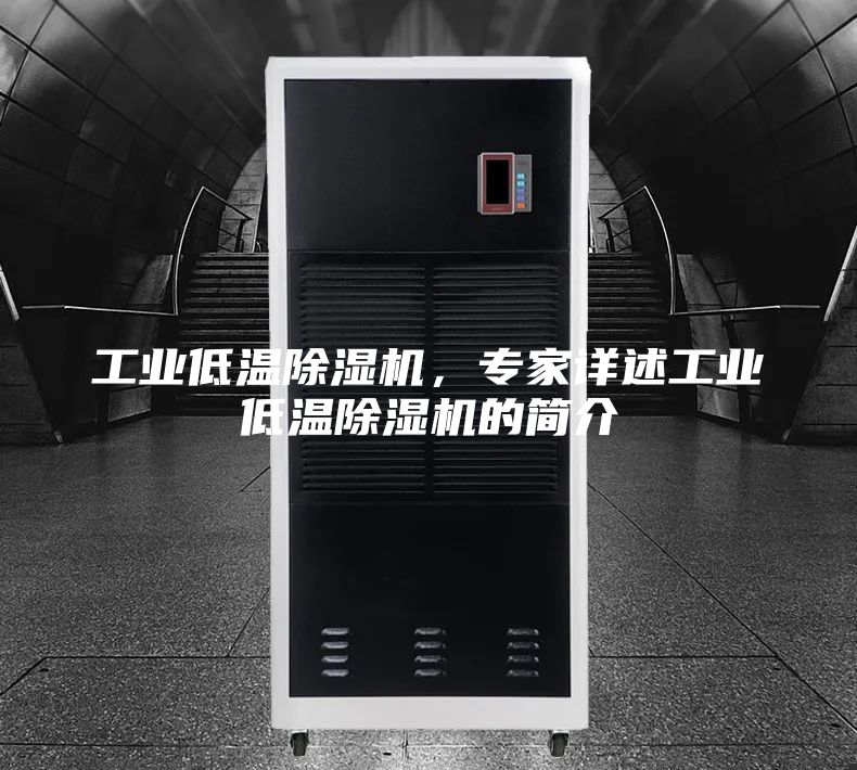 工业低温除湿机，专家详述工业低温除湿机的简介