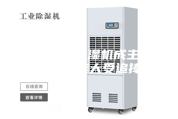 双.11千元除湿机成主力，净化节能大受追捧