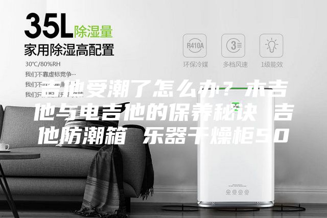 吉他受潮了怎么办？木吉他与电吉他的保养秘诀 吉他防潮箱 乐器干燥柜50