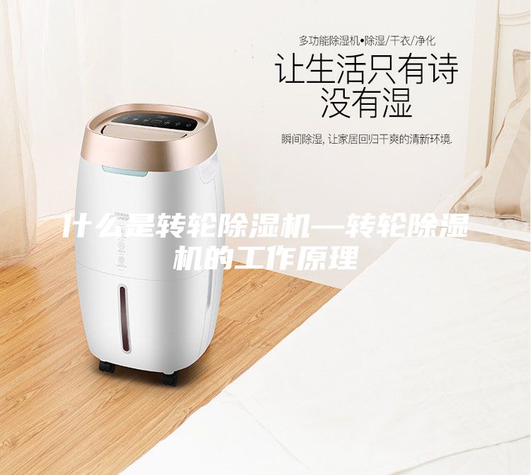 什么是转轮除湿机—转轮除湿机的工作原理