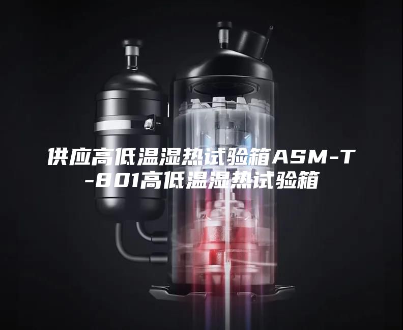 供应高低温湿热试验箱ASM-T-801高低温湿热试验箱