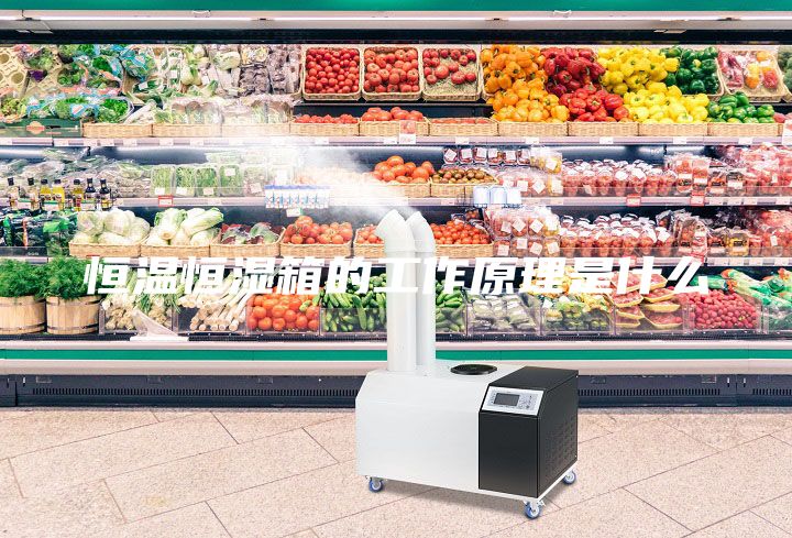 恒温恒湿箱的工作原理是什么