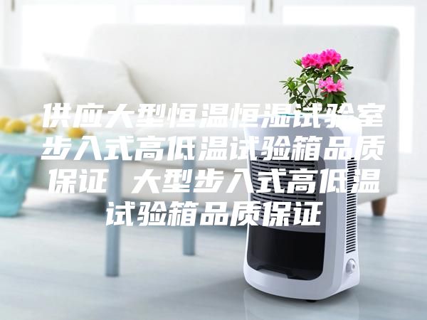 供应大型恒温恒湿试验室步入式高低温试验箱品质保证 大型步入式高低温试验箱品质保证