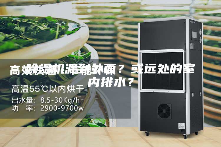 除湿机漏到外面？或远处的室内排水？