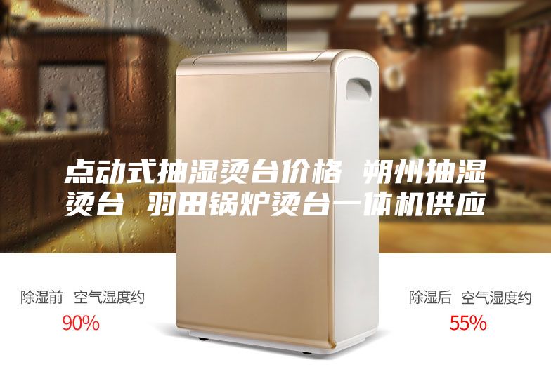 点动式抽湿烫台价格 朔州抽湿烫台 羽田锅炉烫台一体机供应