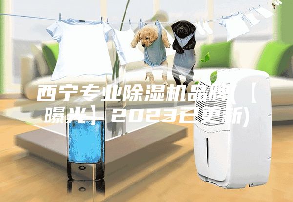 西宁专业除湿机品牌(【曝光】2023已更新)