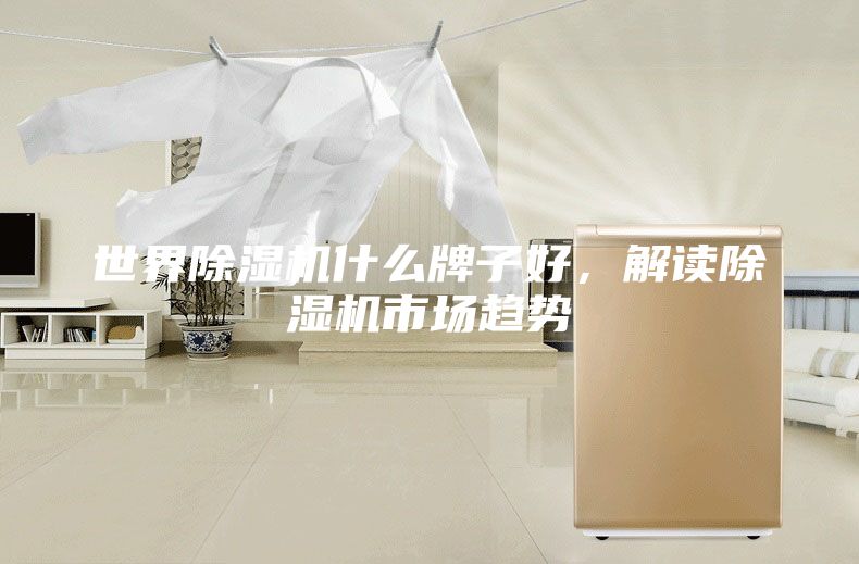 世界除湿机什么牌子好，解读除湿机市场趋势