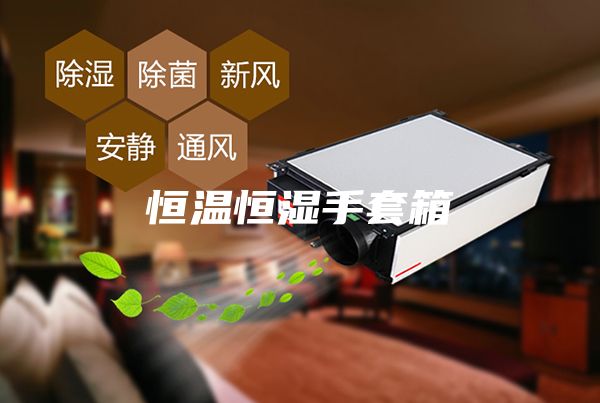 恒温恒湿手套箱
