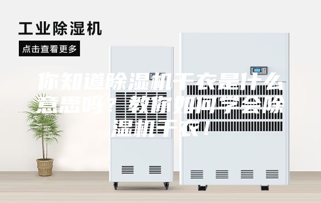 你知道除湿机干衣是什么意思吗？教你如何学会除湿机干衣！