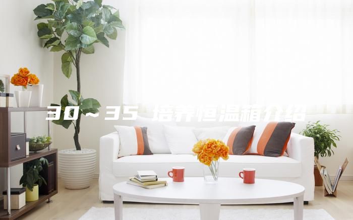 30～35℃培养恒温箱介绍