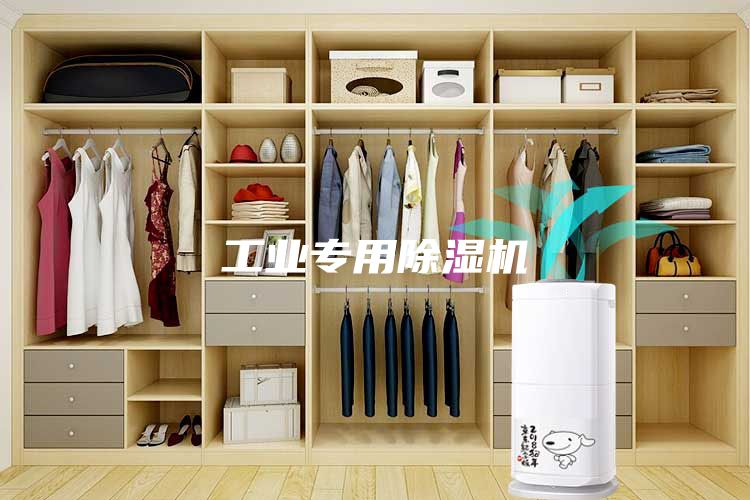 工业专用除湿机