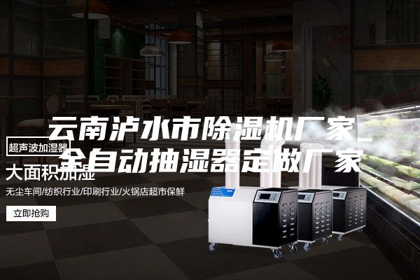 云南泸水市除湿机厂家_全自动抽湿器定做厂家