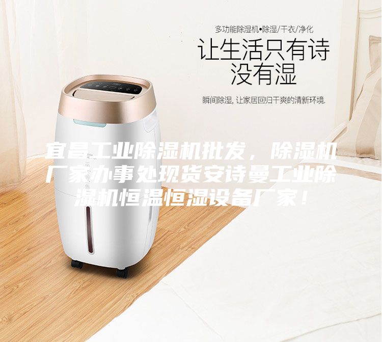 宜昌工业除湿机批发，除湿机厂家办事处现货安诗曼工业除湿机恒温恒湿设备厂家！