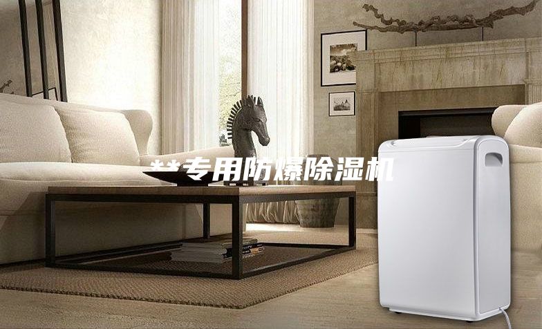 **专用防爆除湿机