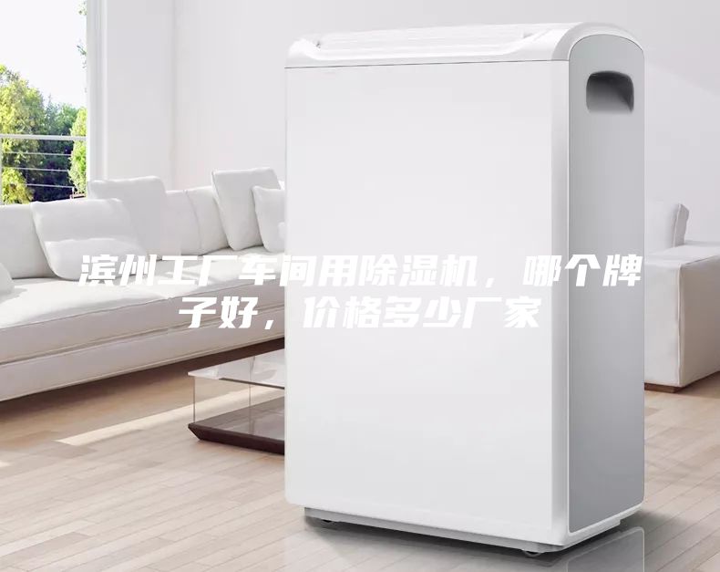 滨州工厂车间用除湿机，哪个牌子好，价格多少厂家