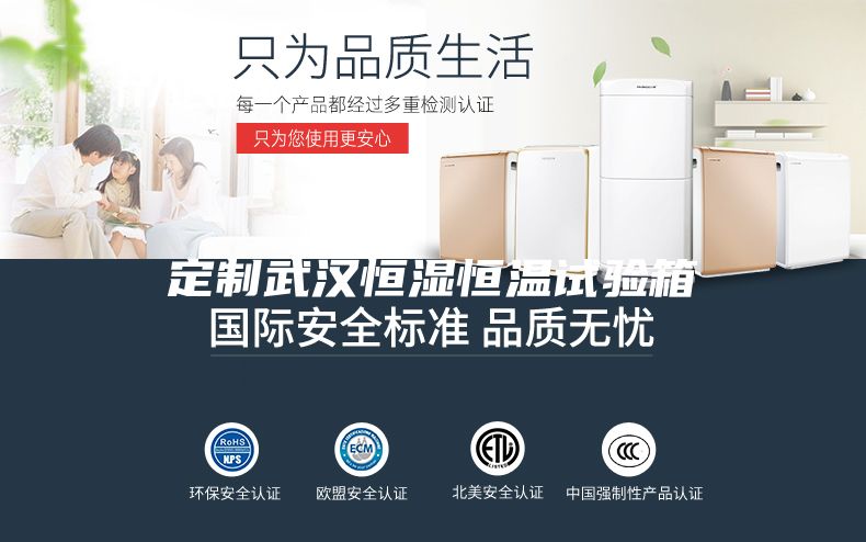 定制武汉恒湿恒温试验箱
