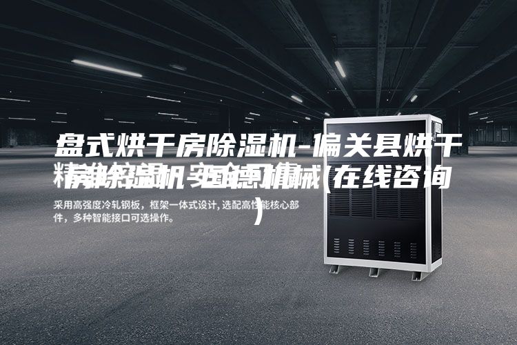 盘式烘干房除湿机-偏关县烘干房除湿机-国德机械(在线咨询)