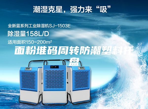 面粉堆码周转防潮塑料托盘